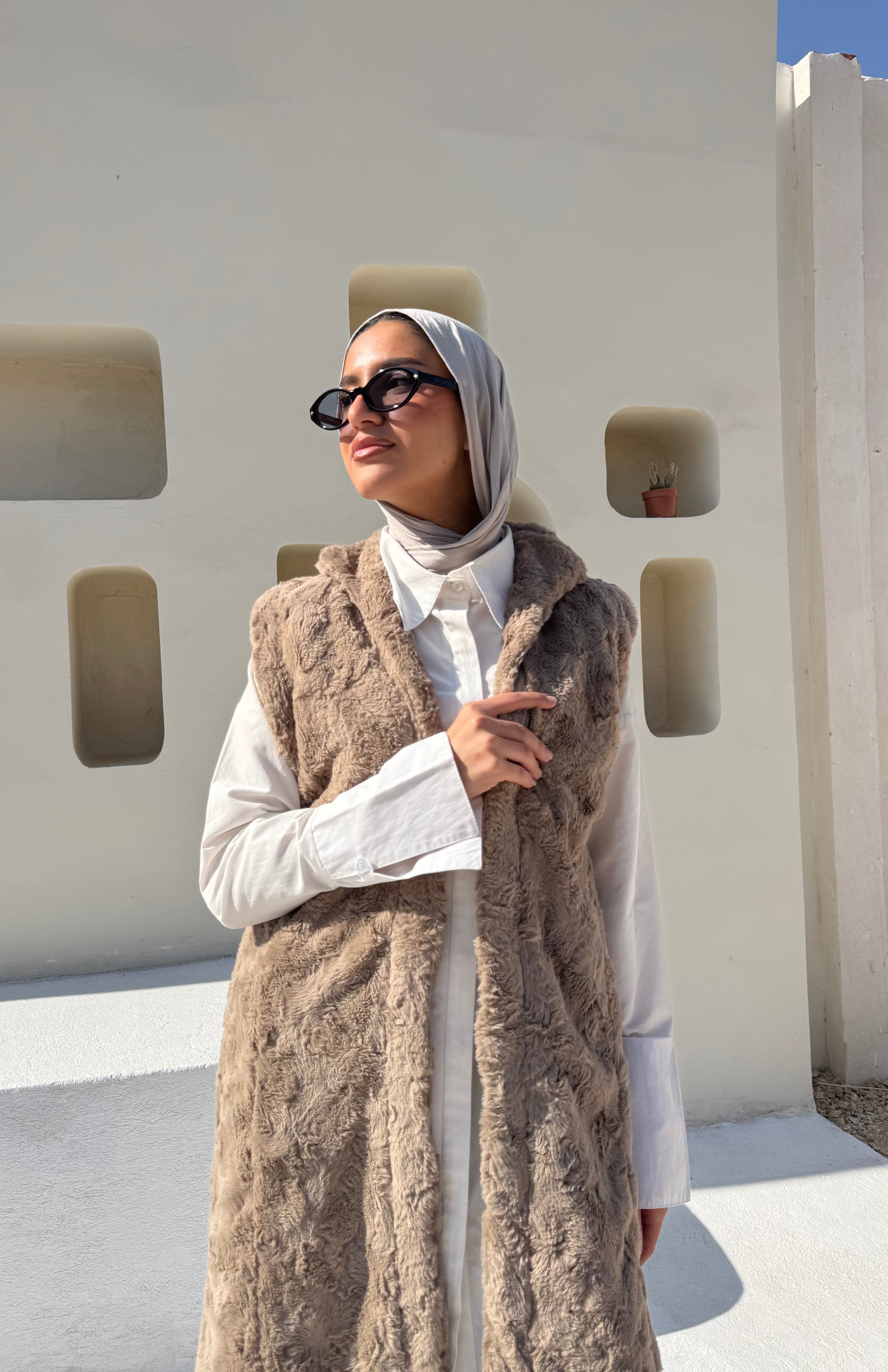 Faux Fur Vest - Cafe