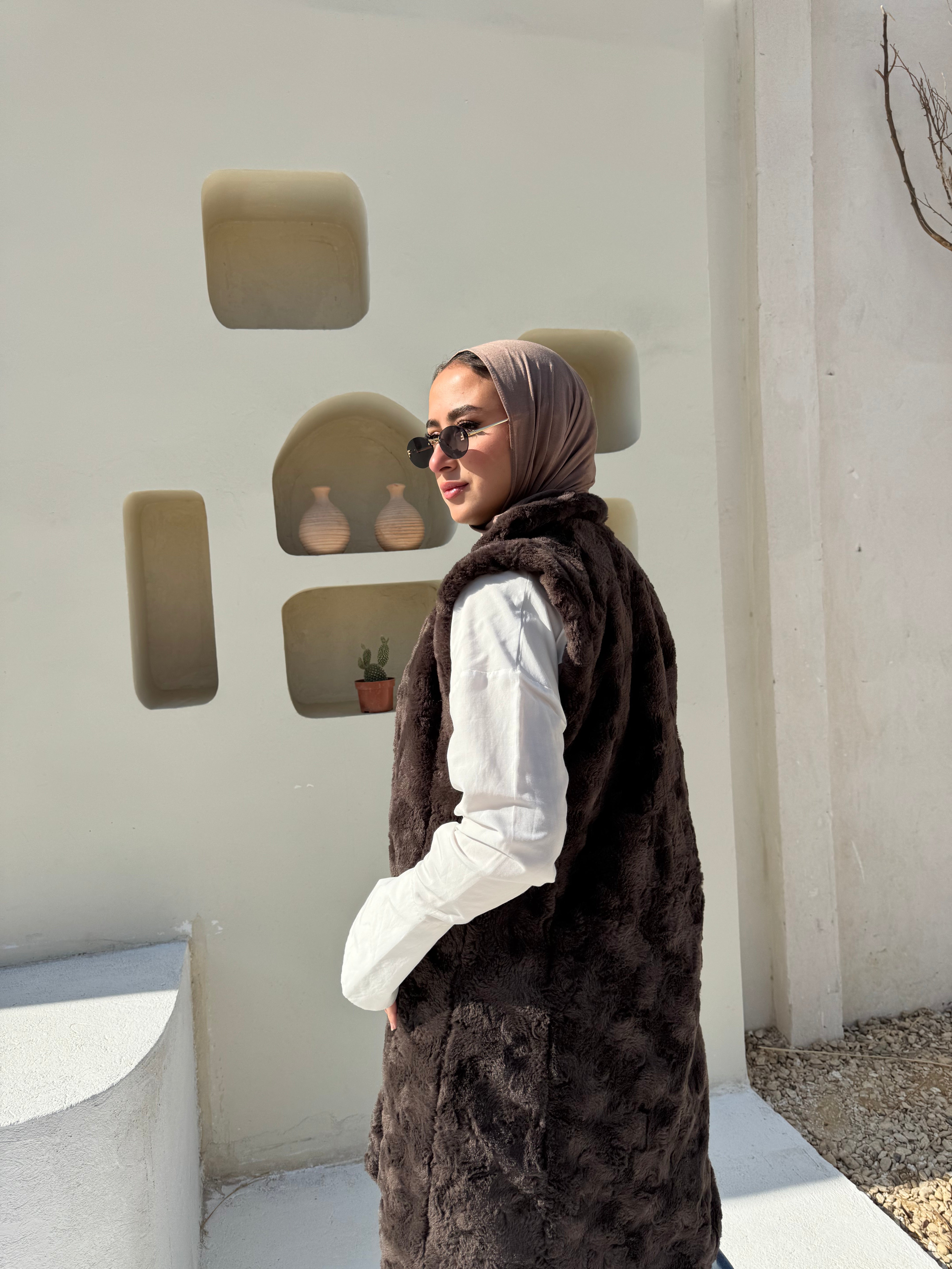 Faux Fur Vest - Brown