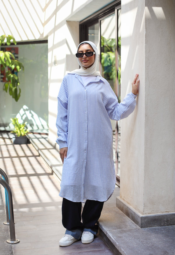 Striped Basic Shirt - Blue