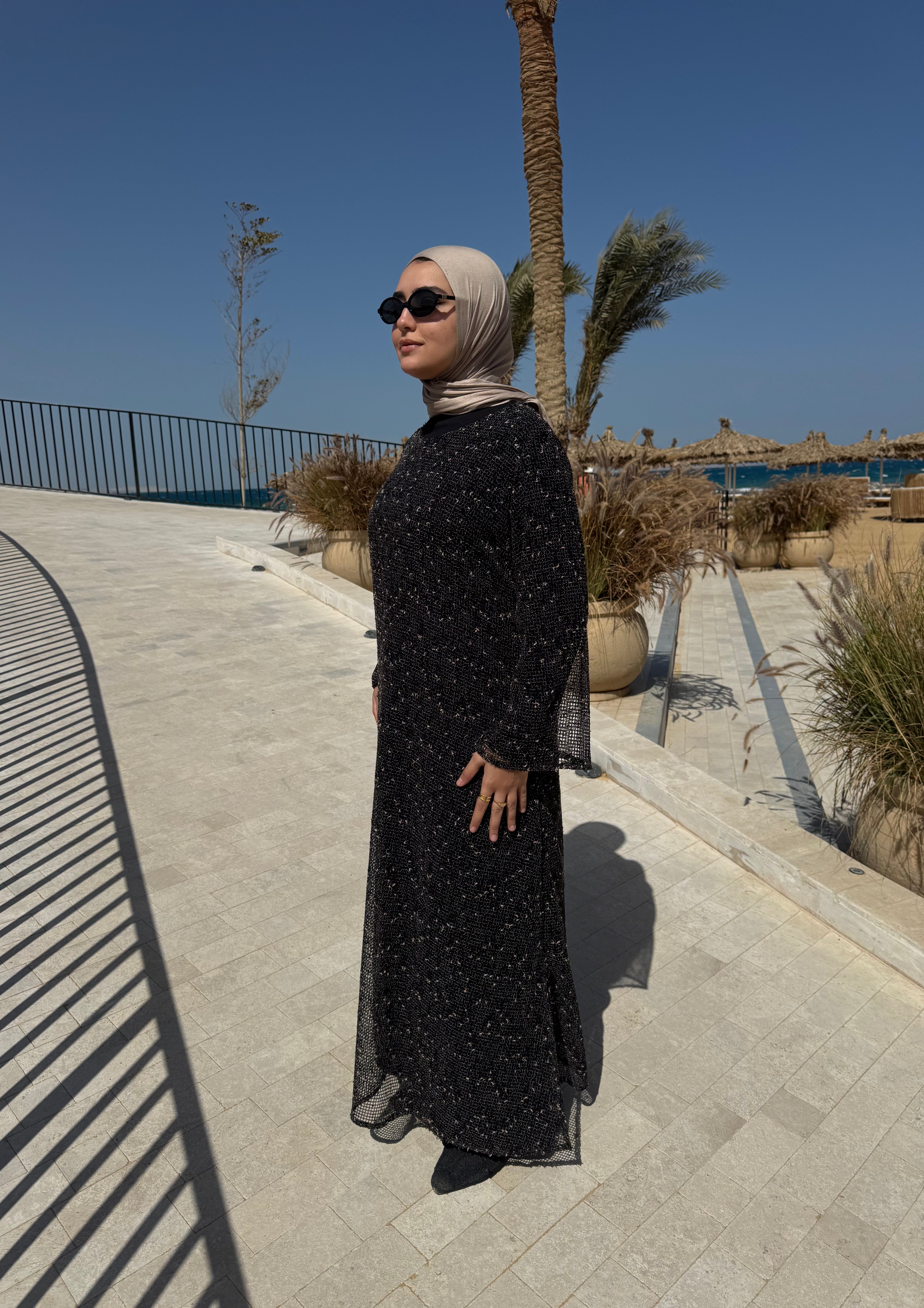 Mesh Beach Dress-Black