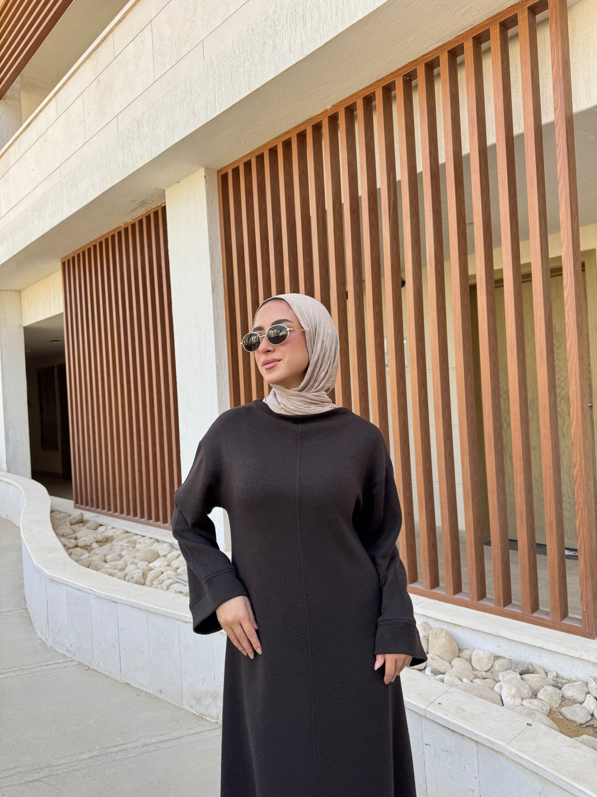 Seam Detail Wool Dress - Brown