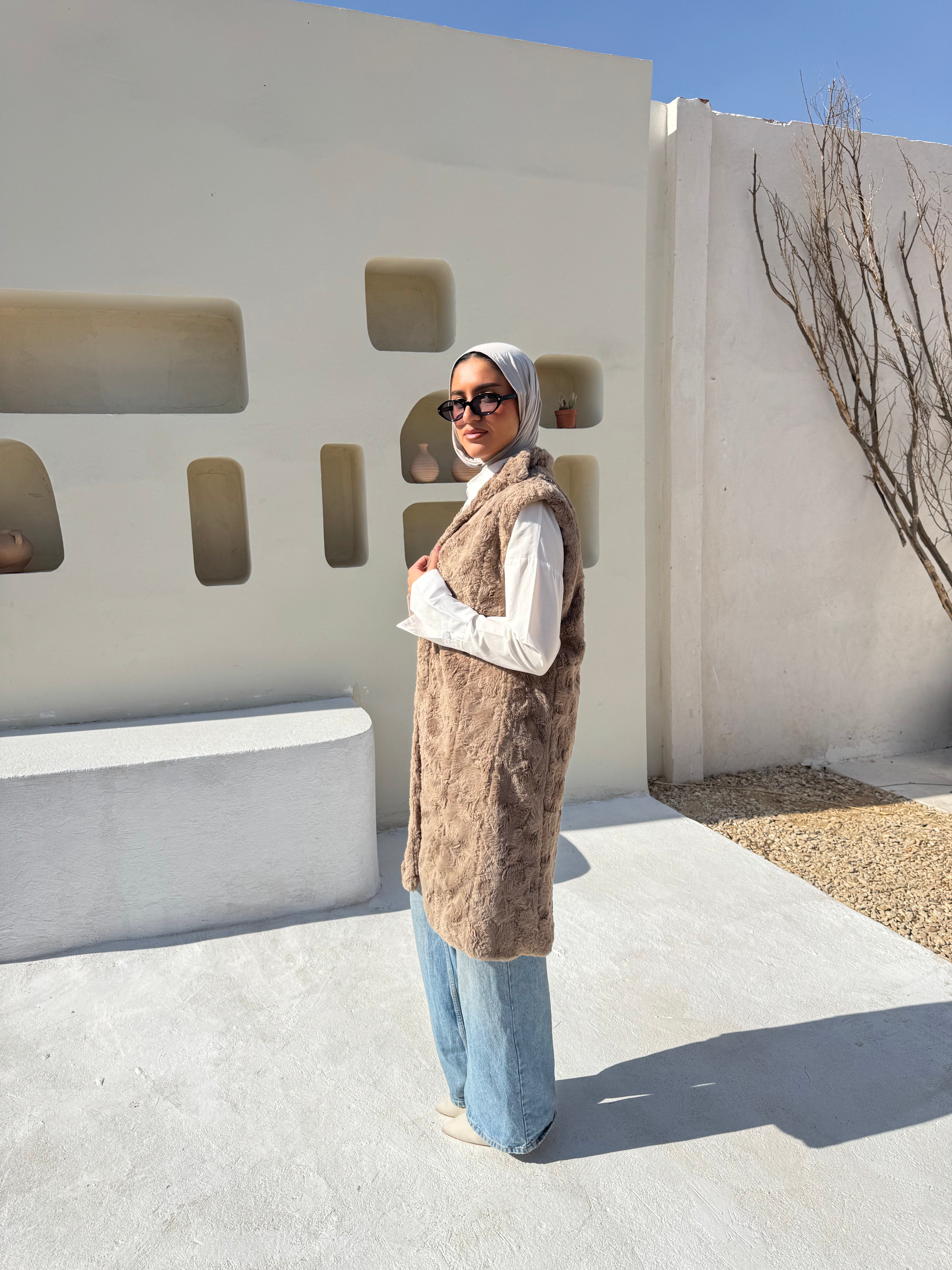 Faux Fur Vest - Cafe