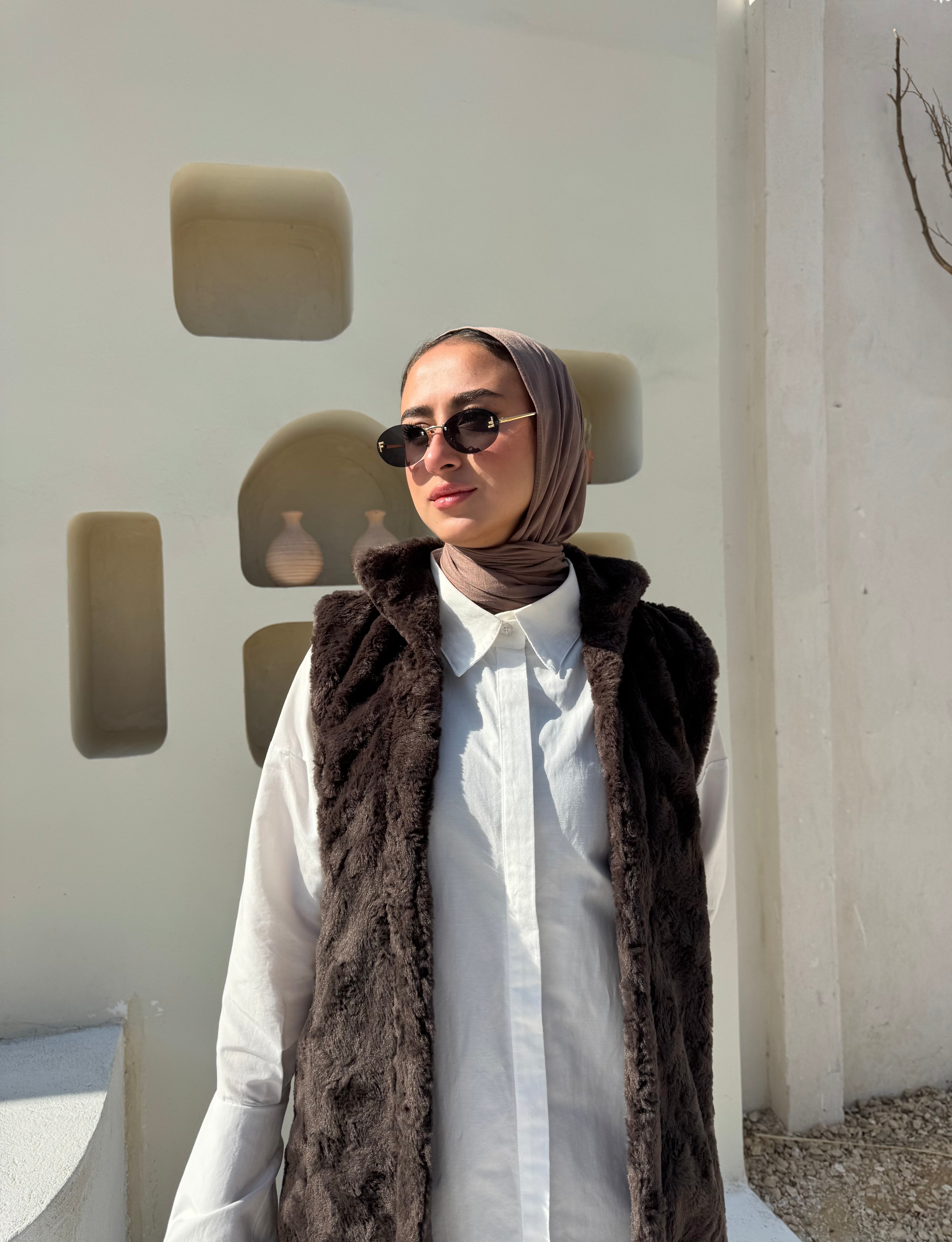 Faux Fur Vest - Brown